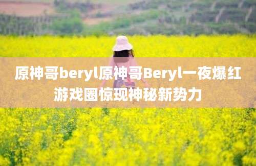 原神哥beryl原神哥Beryl一夜爆红游戏圈惊现神秘新势力