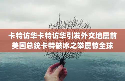 卡特访华卡特访华引发外交地震前美国总统卡特破冰之举震惊全球