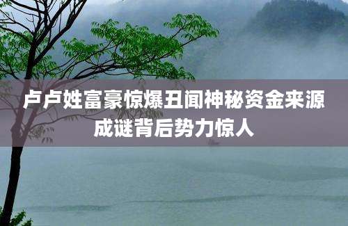 卢卢姓富豪惊爆丑闻神秘资金来源成谜背后势力惊人