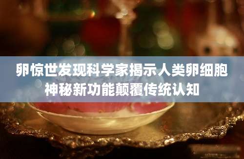 卵惊世发现科学家揭示人类卵细胞神秘新功能颠覆传统认知