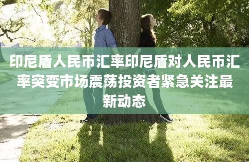 印尼盾人民币汇率印尼盾对人民币汇率突变市场震荡投资者紧急关注最新动态