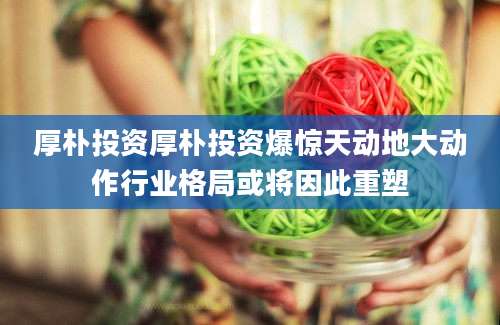 厚朴投资厚朴投资爆惊天动地大动作行业格局或将因此重塑