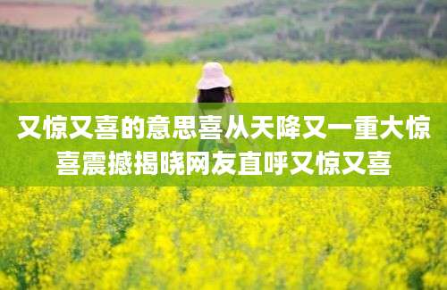 又惊又喜的意思喜从天降又一重大惊喜震撼揭晓网友直呼又惊又喜