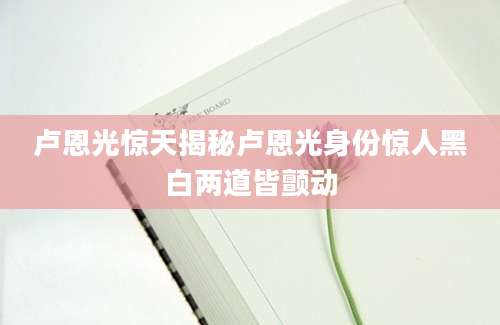 卢恩光惊天揭秘卢恩光身份惊人黑白两道皆颤动
