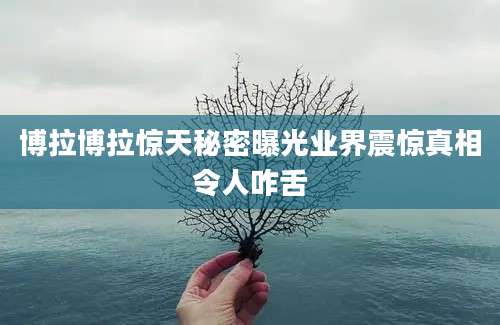 博拉博拉惊天秘密曝光业界震惊真相令人咋舌
