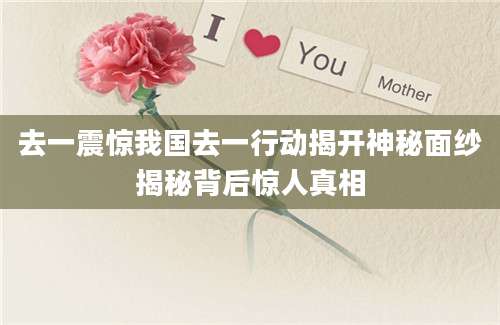 去一震惊我国去一行动揭开神秘面纱揭秘背后惊人真相