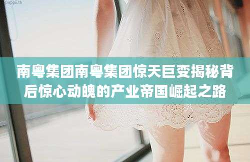 南粤集团南粤集团惊天巨变揭秘背后惊心动魄的产业帝国崛起之路