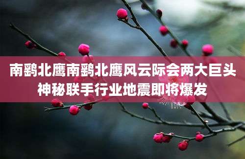 南鹞北鹰南鹞北鹰风云际会两大巨头神秘联手行业地震即将爆发
