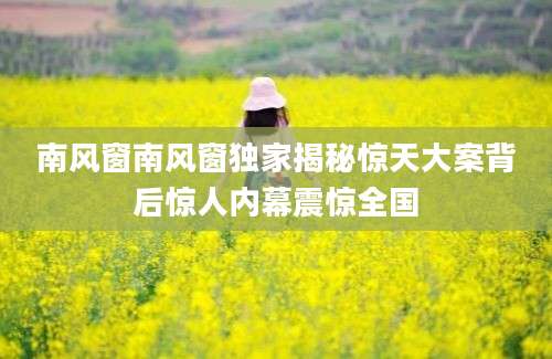 南风窗南风窗独家揭秘惊天大案背后惊人内幕震惊全国