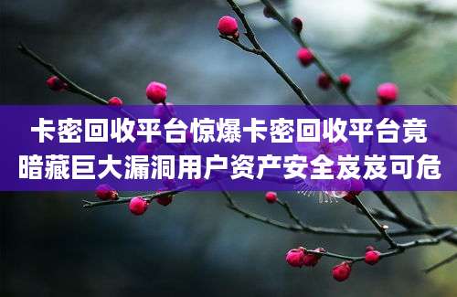 卡密回收平台惊爆卡密回收平台竟暗藏巨大漏洞用户资产安全岌岌可危