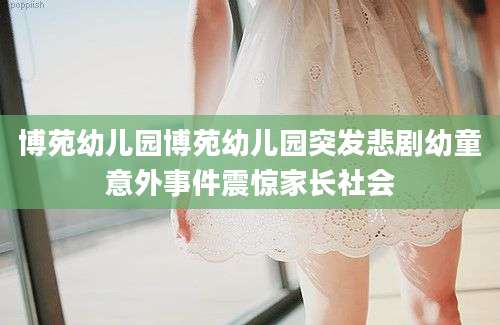 博苑幼儿园博苑幼儿园突发悲剧幼童意外事件震惊家长社会