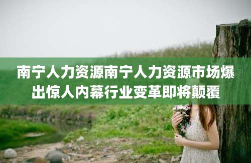 南宁人力资源南宁人力资源市场爆出惊人内幕行业变革即将颠覆