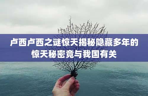 卢西卢西之谜惊天揭秘隐藏多年的惊天秘密竟与我国有关