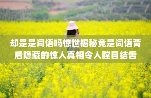 却是是词语吗惊世揭秘竟是词语背后隐藏的惊人真相令人瞠目结舌