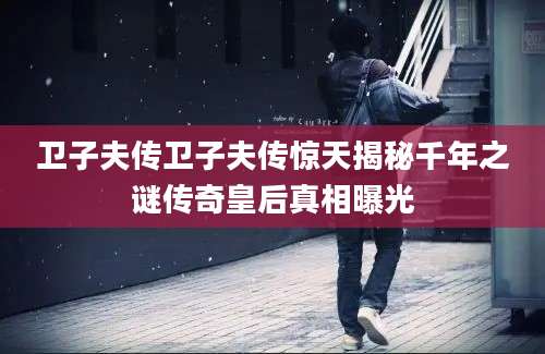 卫子夫传卫子夫传惊天揭秘千年之谜传奇皇后真相曝光