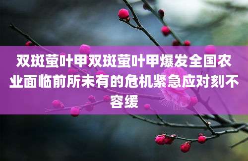 双斑萤叶甲双斑萤叶甲爆发全国农业面临前所未有的危机紧急应对刻不容缓