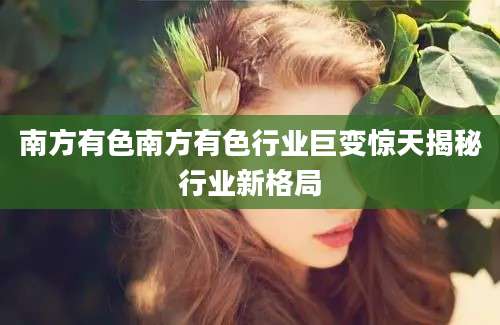 南方有色南方有色行业巨变惊天揭秘行业新格局