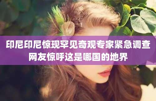 印尼印尼惊现罕见奇观专家紧急调查网友惊呼这是哪国的地界
