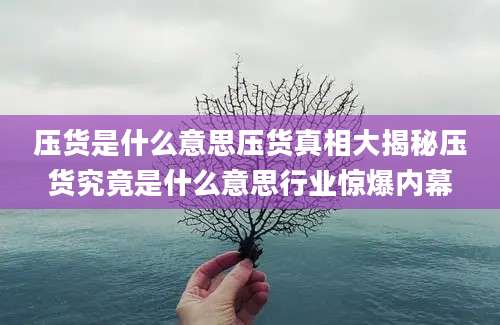 压货是什么意思压货真相大揭秘压货究竟是什么意思行业惊爆内幕