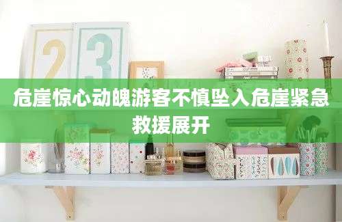 危崖惊心动魄游客不慎坠入危崖紧急救援展开