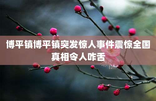 博平镇博平镇突发惊人事件震惊全国真相令人咋舌