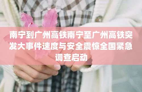 南宁到广州高铁南宁至广州高铁突发大事件速度与安全震惊全国紧急调查启动