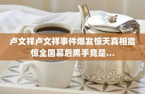 卢文祥卢文祥事件爆发惊天真相震惊全国幕后黑手竟是...