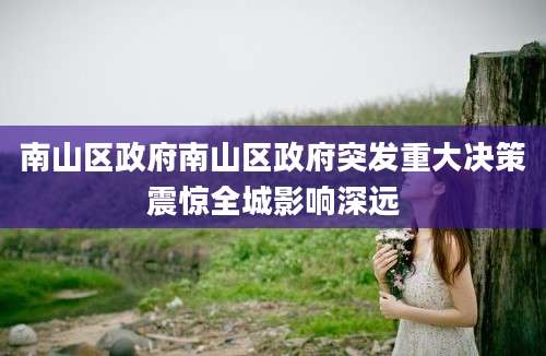 南山区政府南山区政府突发重大决策震惊全城影响深远