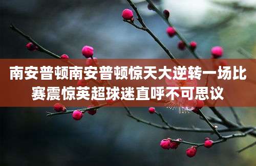 南安普顿南安普顿惊天大逆转一场比赛震惊英超球迷直呼不可思议