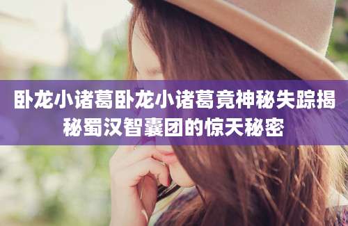 卧龙小诸葛卧龙小诸葛竟神秘失踪揭秘蜀汉智囊团的惊天秘密