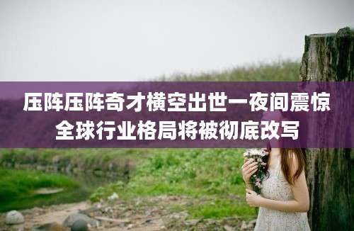 压阵压阵奇才横空出世一夜间震惊全球行业格局将被彻底改写