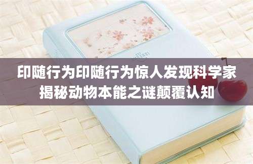 印随行为印随行为惊人发现科学家揭秘动物本能之谜颠覆认知