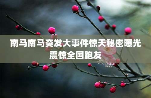 南马南马突发大事件惊天秘密曝光震惊全国跑友