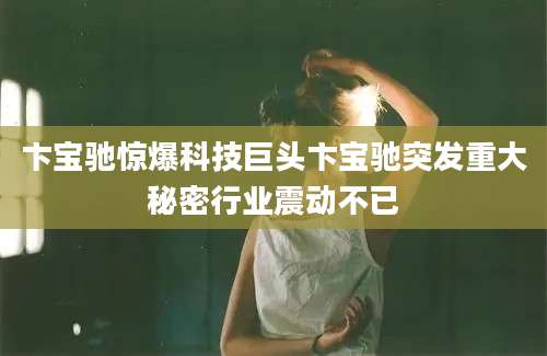 卞宝驰惊爆科技巨头卞宝驰突发重大秘密行业震动不已