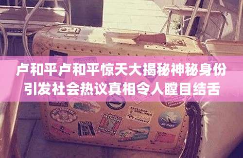 卢和平卢和平惊天大揭秘神秘身份引发社会热议真相令人瞠目结舌
