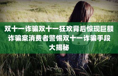 双十一诈骗双十一狂欢背后惊现巨额诈骗案消费者警惕双十一诈骗手段大揭秘
