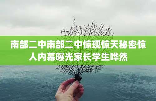 南部二中南部二中惊现惊天秘密惊人内幕曝光家长学生哗然