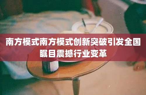 南方模式南方模式创新突破引发全国瞩目震撼行业变革