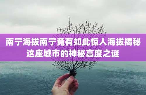 南宁海拔南宁竟有如此惊人海拔揭秘这座城市的神秘高度之谜