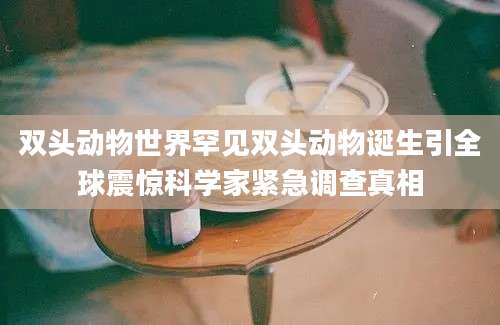 双头动物世界罕见双头动物诞生引全球震惊科学家紧急调查真相