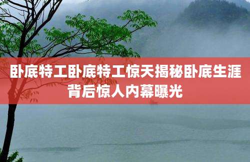 卧底特工卧底特工惊天揭秘卧底生涯背后惊人内幕曝光