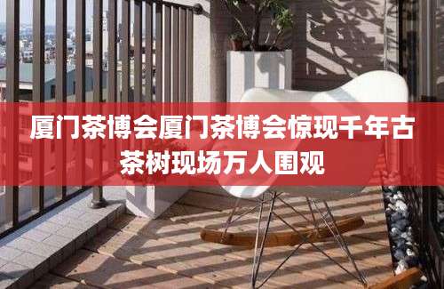 厦门茶博会厦门茶博会惊现千年古茶树现场万人围观