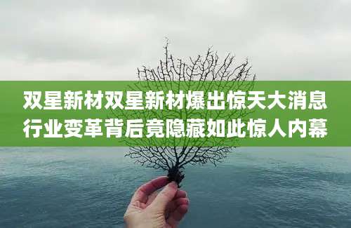 双星新材双星新材爆出惊天大消息行业变革背后竟隐藏如此惊人内幕