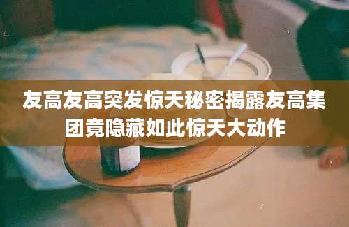 友高友高突发惊天秘密揭露友高集团竟隐藏如此惊天大动作