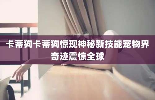 卡蒂狗卡蒂狗惊现神秘新技能宠物界奇迹震惊全球