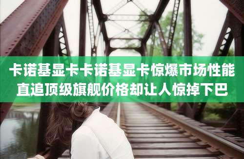 卡诺基显卡卡诺基显卡惊爆市场性能直追顶级旗舰价格却让人惊掉下巴