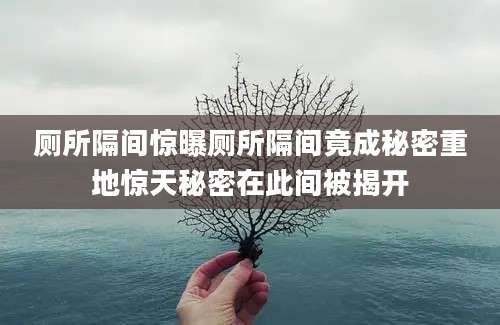 厕所隔间惊曝厕所隔间竟成秘密重地惊天秘密在此间被揭开