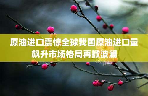 原油进口震惊全球我国原油进口量飙升市场格局再掀波澜