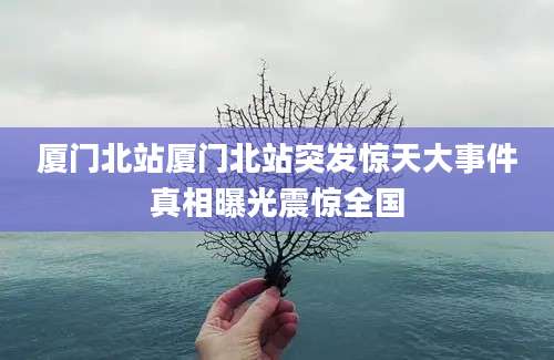 厦门北站厦门北站突发惊天大事件真相曝光震惊全国