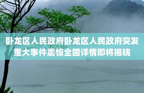 卧龙区人民政府卧龙区人民政府突发重大事件震惊全国详情即将揭晓
